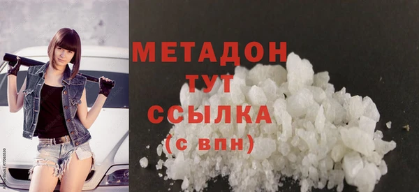 сатива Корсаков