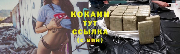 мдпв Коряжма