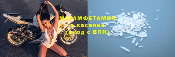 сатива Корсаков