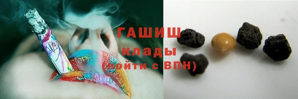 сатива Корсаков