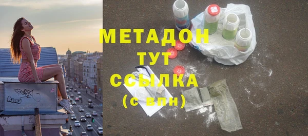сатива Корсаков