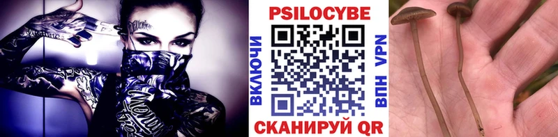 Галлюциногенные грибы мухоморы  Купить закладки  Ачинск 